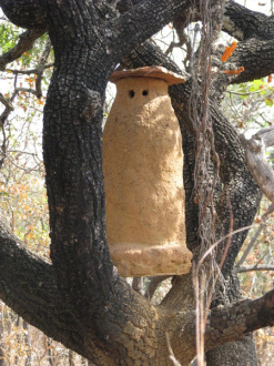 01 Ruche Artisanale